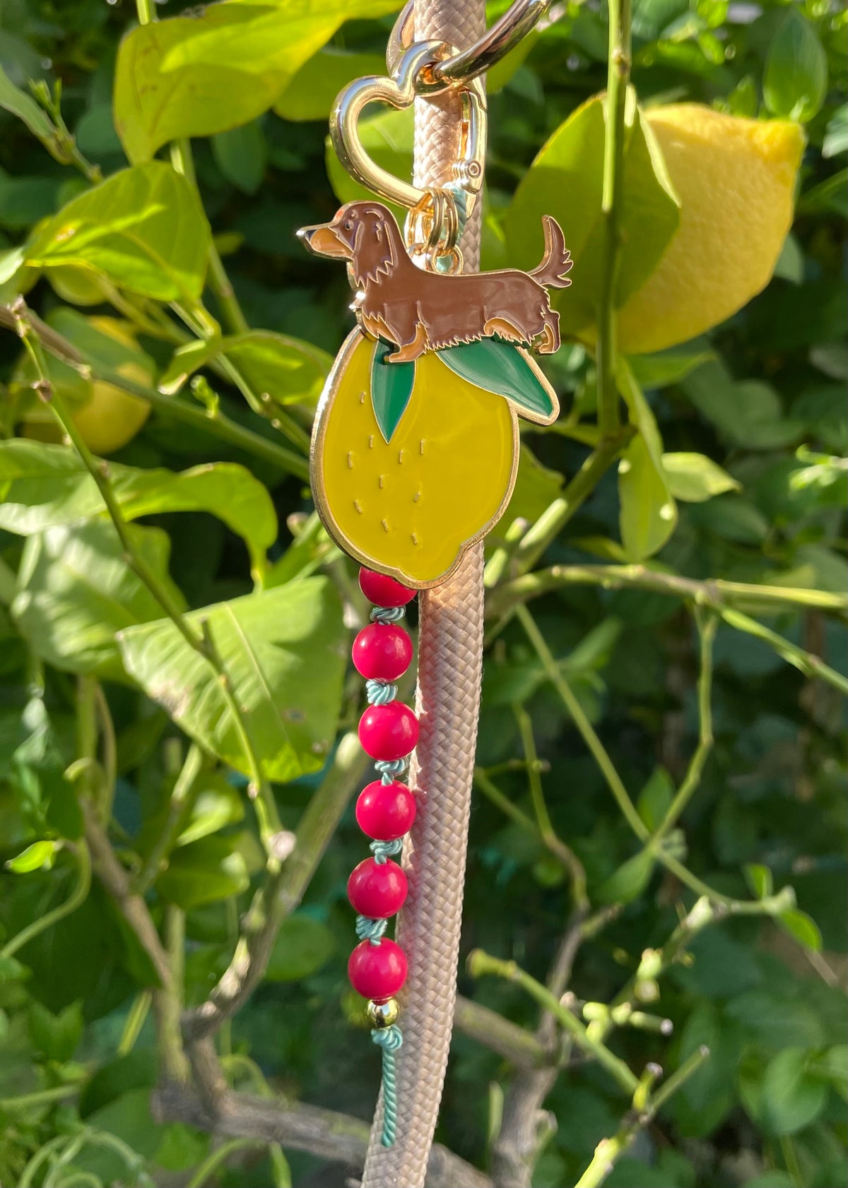 1B/ Collier & Bracelet MATCHY MATCHY ENJOY LOVE LEMON BICOLORE ou Bijou de laisse 🌸🍋😘☀️🐾🐶🤩