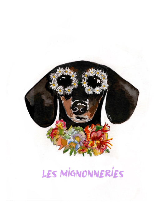 1C/ Affiche SPRING IS COMING TECKEL 🌸🌺🌼🪻🥰😍🌸