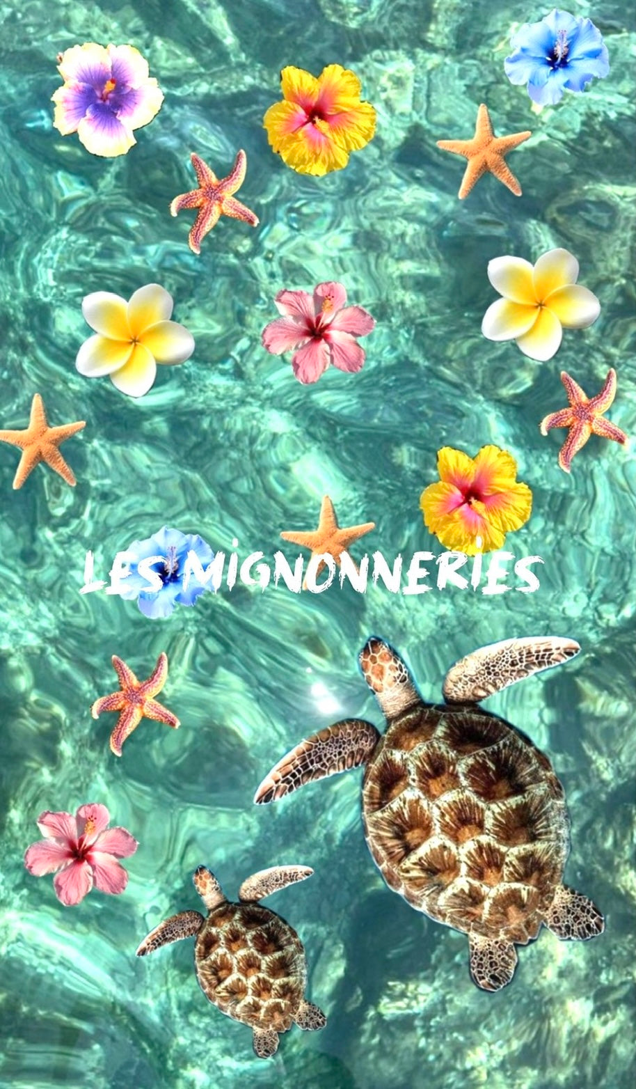 1B/ Collier AQUALOVE DOLPHIN 🐬🩵💚✨☀️🥰🫶🏻