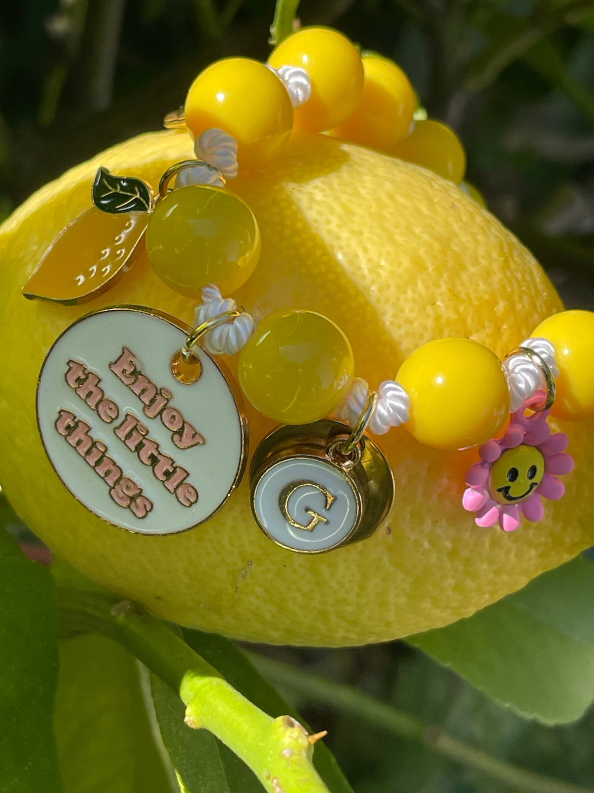 1B/ Collier & Bracelet MATCHY MATCHY ENJOY LOVE LEMON BICOLORE ou Bijou de laisse 🌸🍋😘☀️🐾🐶🤩