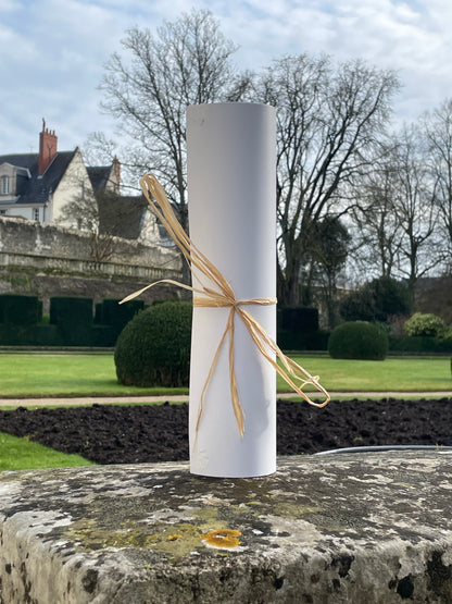 1C/ AFFICHE « LOVE IS IN THE AIR » édition limitée 🖼️🕶️🐶🥰🫶🏻