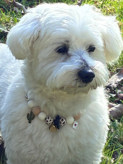 Collier WESTERN 🏜️🤠
