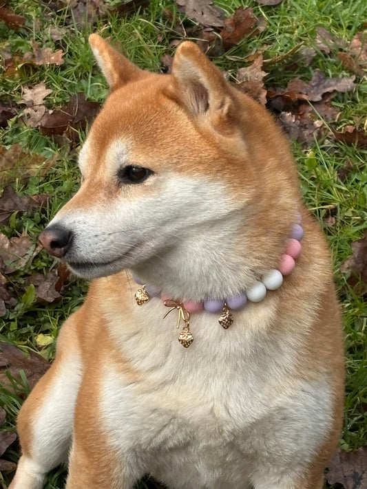Collier ALICE