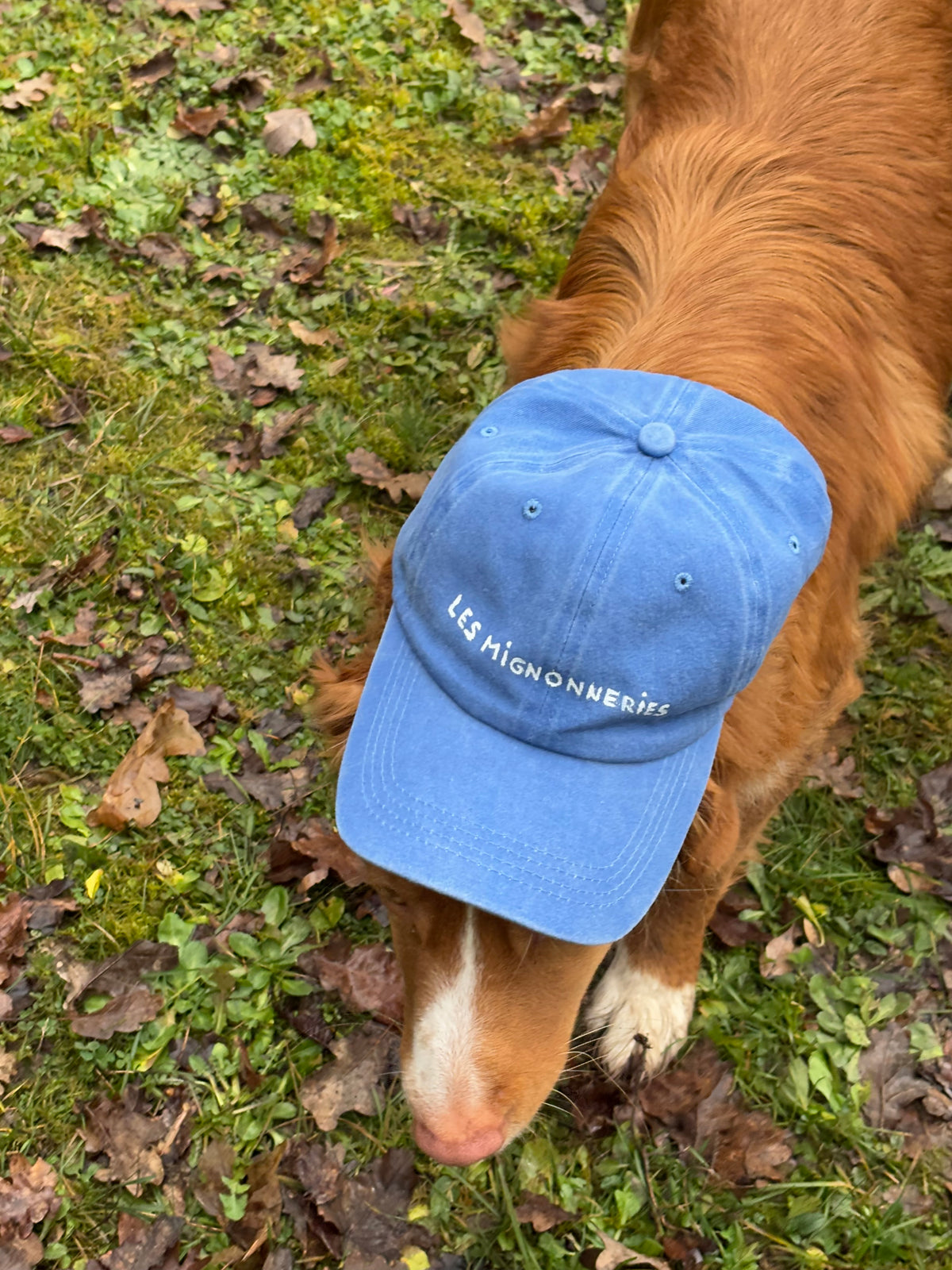 Casquette UGO BLUE